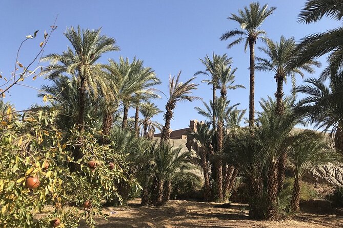 Tour from Ouarzazate to Vallee Du Draa and Dunes Of Tinfou - What to Expect at Each Time Block (So You Don’t Feel Rushed)