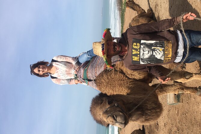 Tour of Tangier 1-2 people with camel ride - Mendoubia Gardens: a needed break in the flow