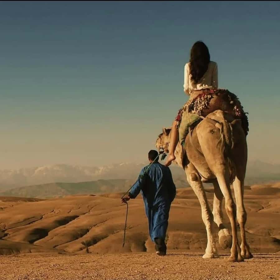 Unforgettable Desert Night: Dinner, Camel Ride & Quad Bike - Camel Ride Through the Desert: The Slower View That Sticks