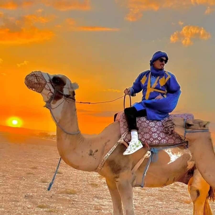 Unforgettable Desert Night: Dinner, Camel Ride & Quad Bike - Who Should Book This Desert Night Experience