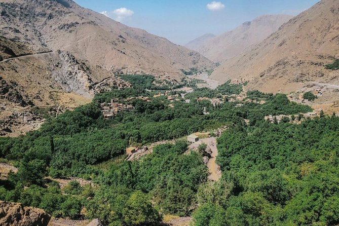 Waterfalls, Three valleys, Atlas Montains, Camels & Desert - Argan breakfast and Berber hospitality in the Atlas foothills
