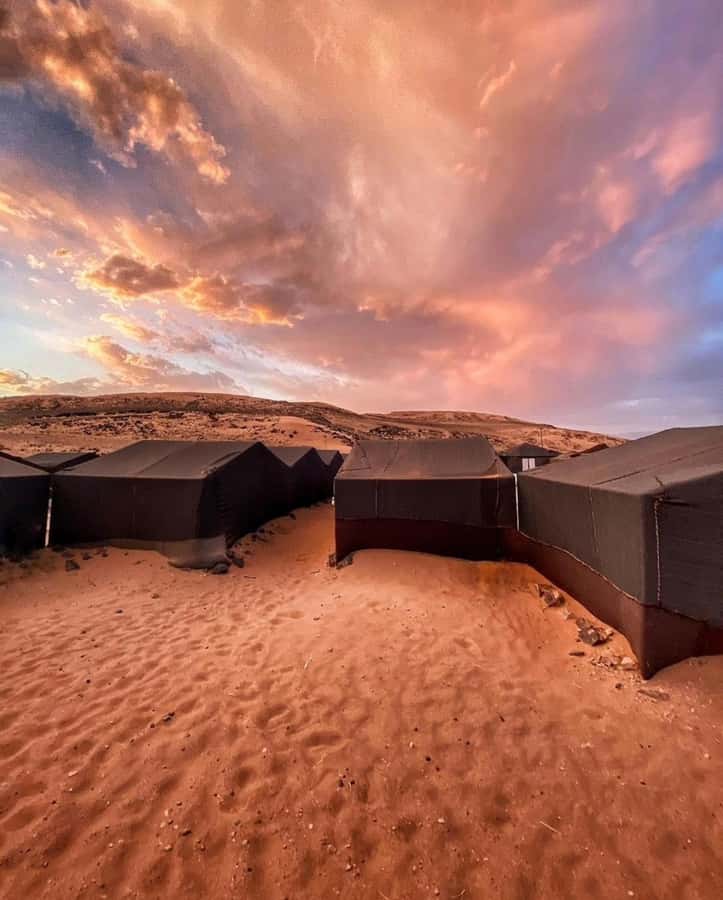 Zagora Desert: 2-Day 1-Night Desert Expedition to Remember - Leaving at 7 to 8 am, and Why Timing Makes It Feel Worth It