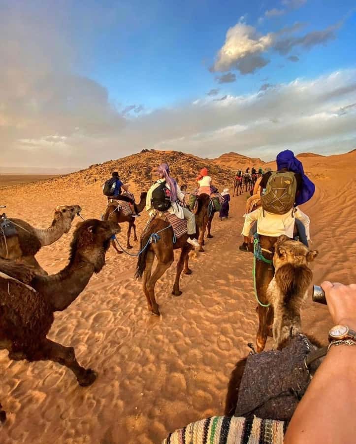 Zagora Desert: 2-Day 1-Night Desert Expedition to Remember - Ouarzazate and the Anti-Atlas, Palm Groves Along the Draa Valley