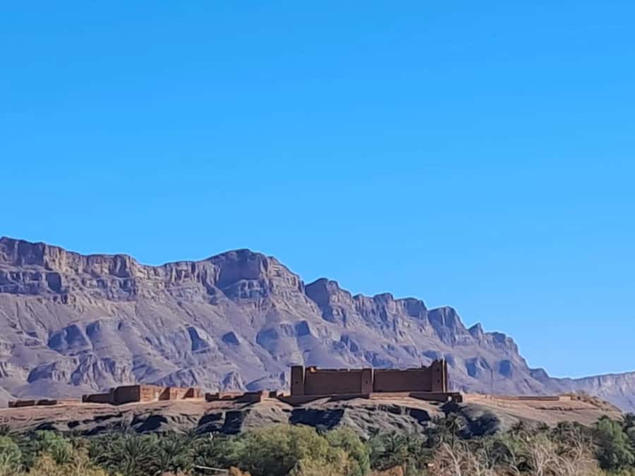 Zagora Desert: 2-Day 1-Night Desert Expedition to Remember - Zagora Desert at Sunset, Camel Ride Reality Check