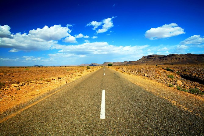 Zagora Desert: 2-Day Trip from Marrakesh - Day 2: Taourirt Kasbah in Ouarzazate, then back to Marrakech